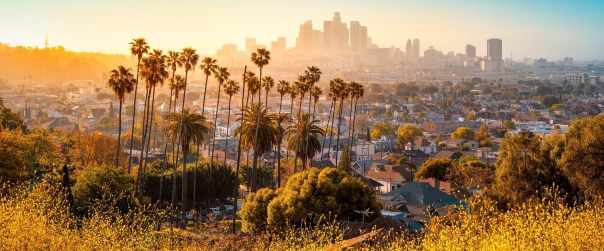 Exploring the Cultural Diversity of Los Angeles